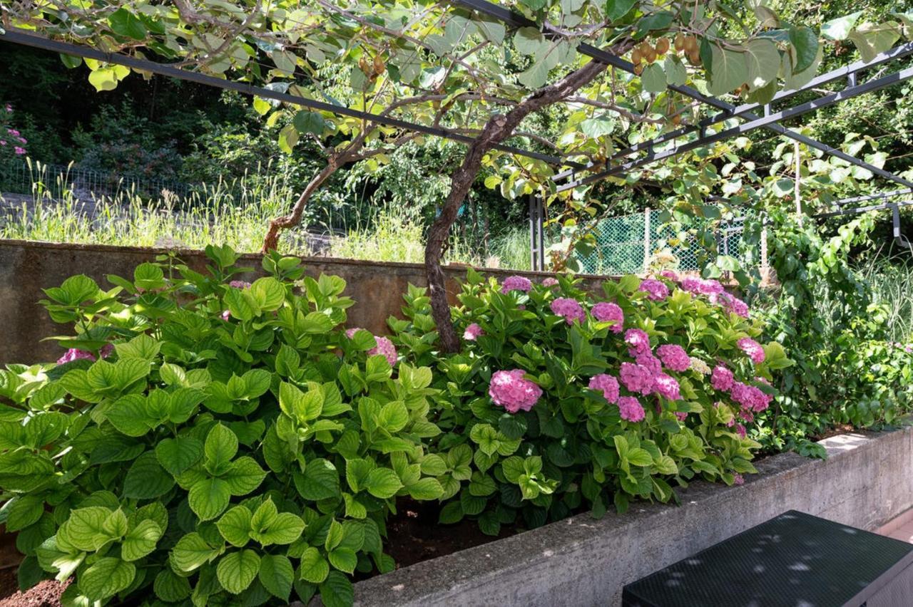 Apartman Sanja Opatija Dış mekan fotoğraf